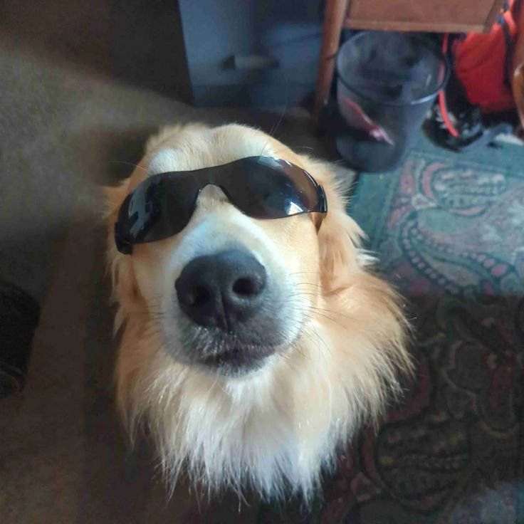 Carlos